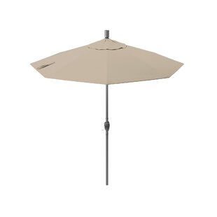 arden paradise umbrella